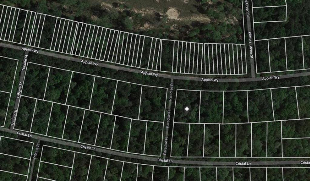 Lot 1 Appian Way, New Caney, Texas image 2