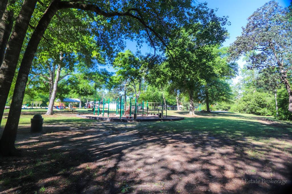 Lot 1 Appian Way, New Caney, Texas image 11