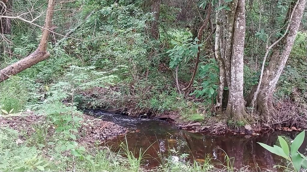1 Nursery Road, Livingston, Texas image 14
