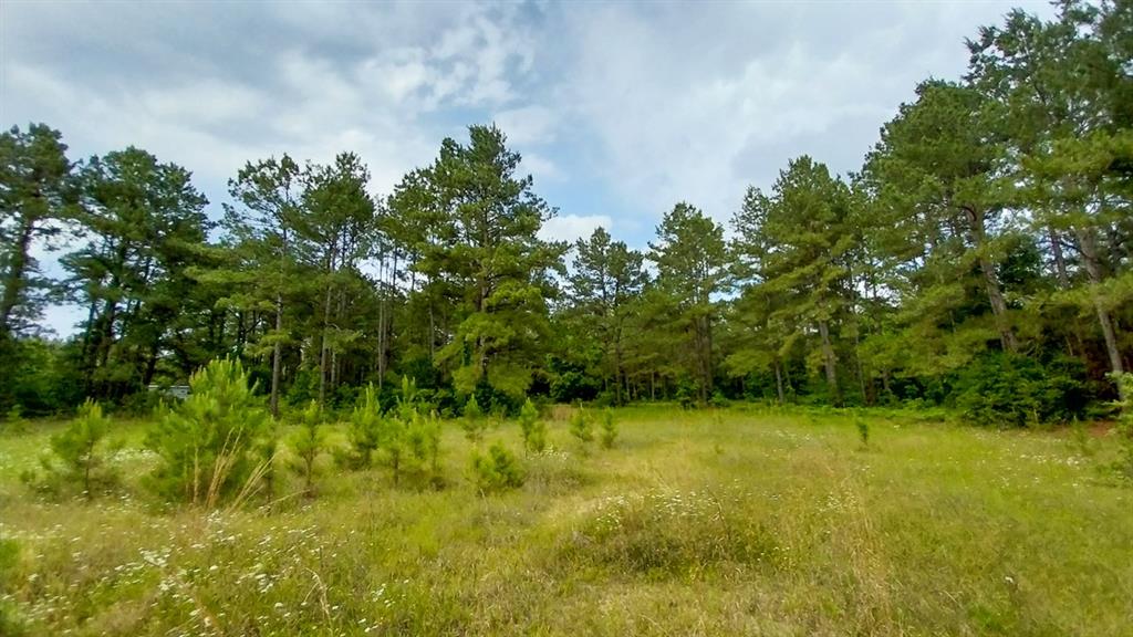1 Nursery Road, Livingston, Texas image 9