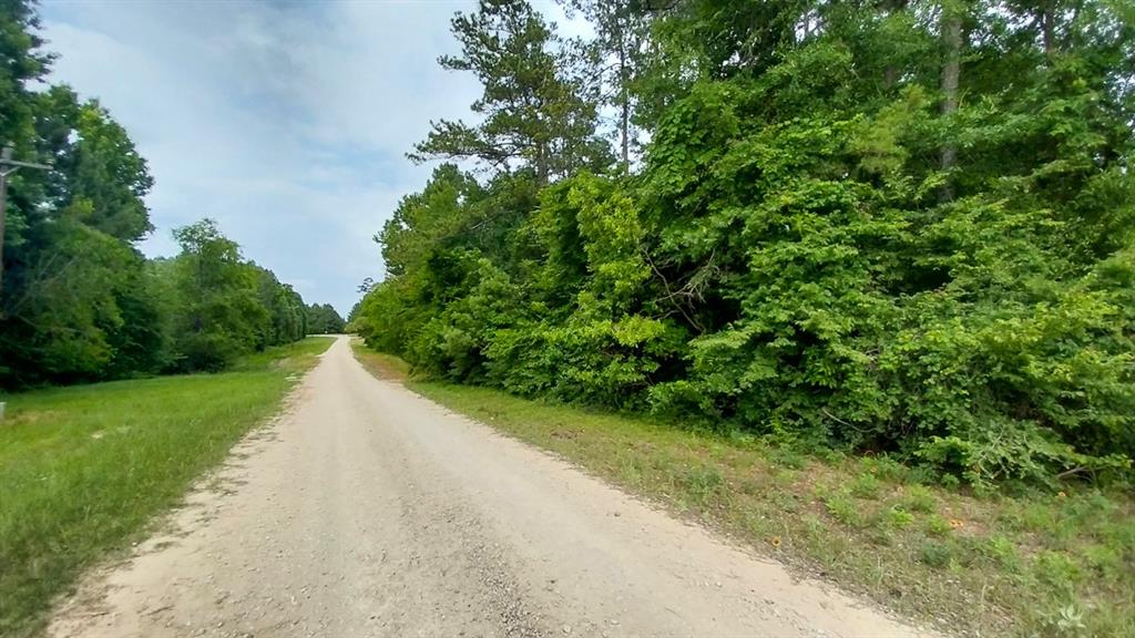1 Nursery Road, Livingston, Texas image 12