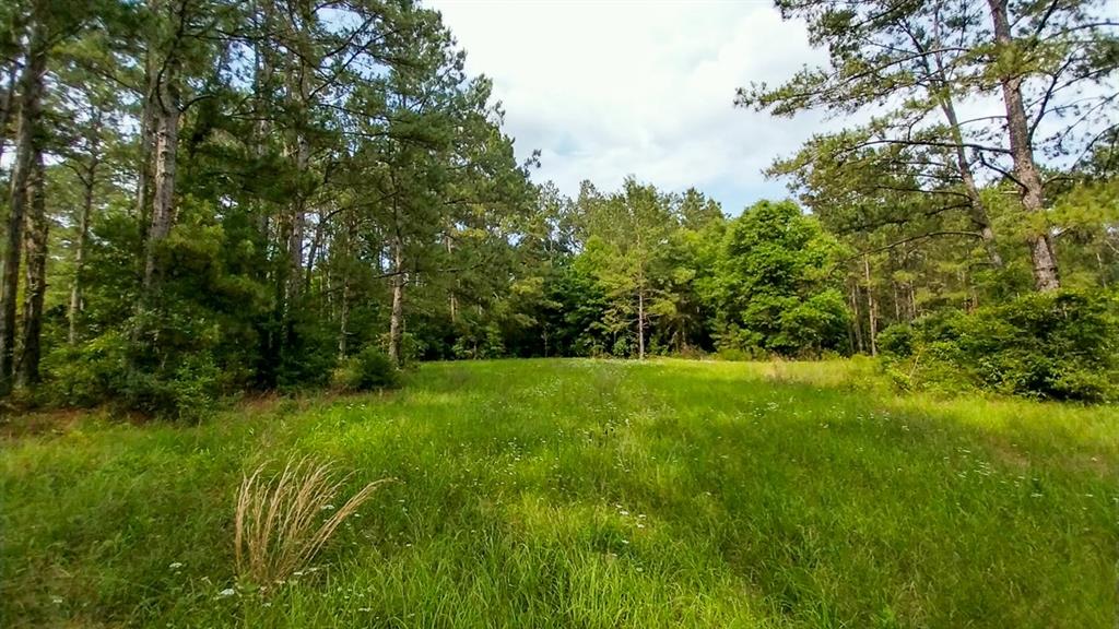 1 Nursery Road, Livingston, Texas image 5