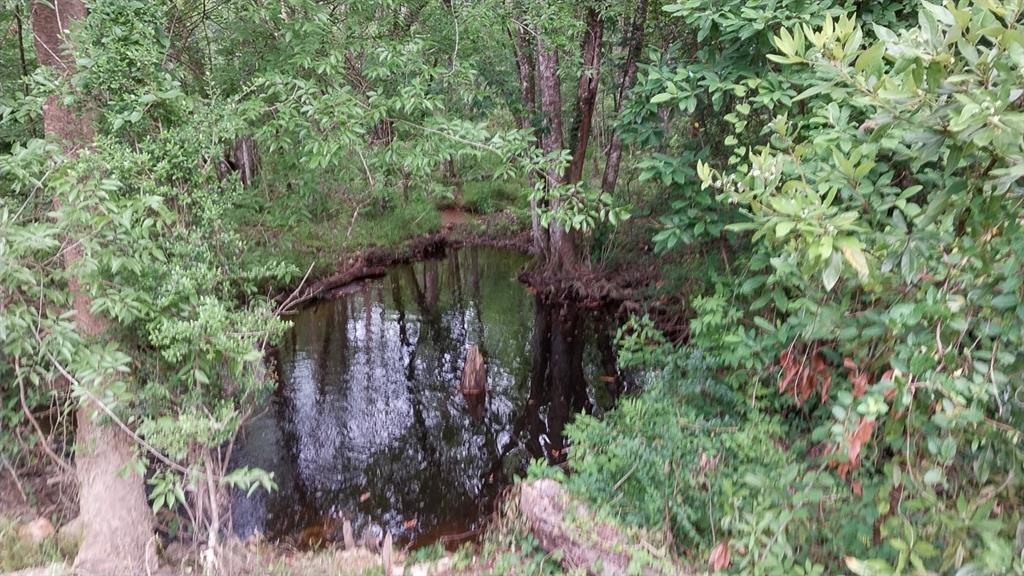 1 Nursery Road, Livingston, Texas image 13