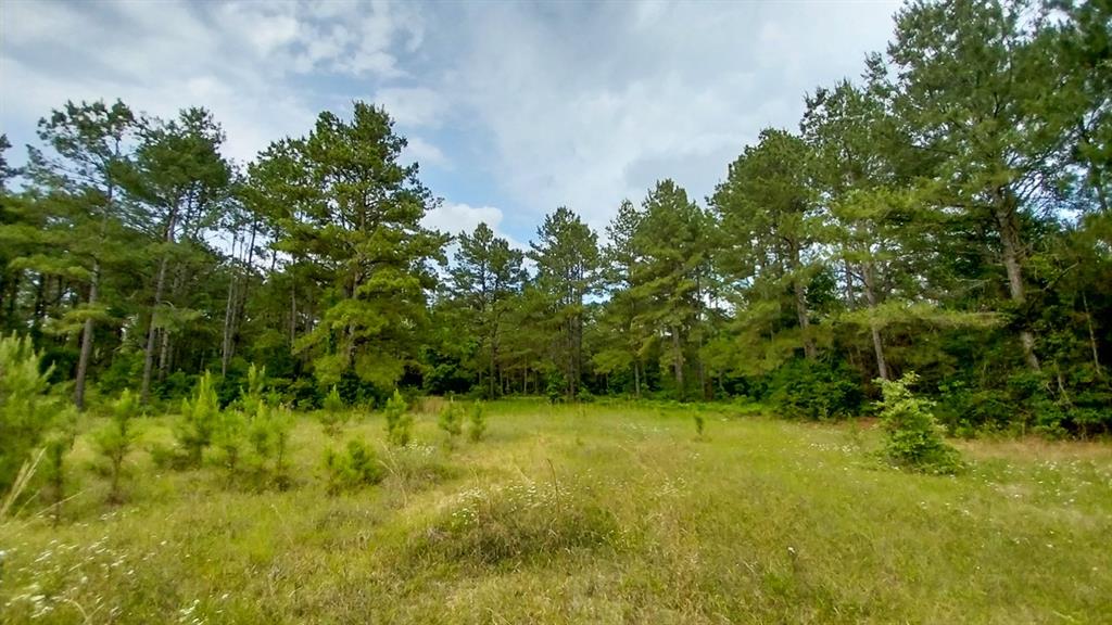 1 Nursery Road, Livingston, Texas image 1
