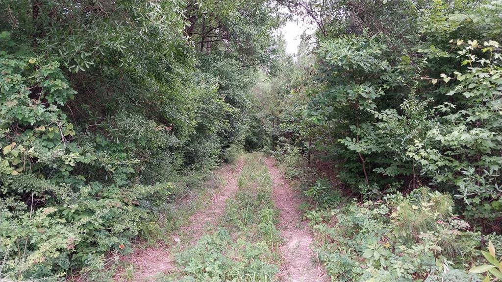 1 Nursery Road, Livingston, Texas image 15