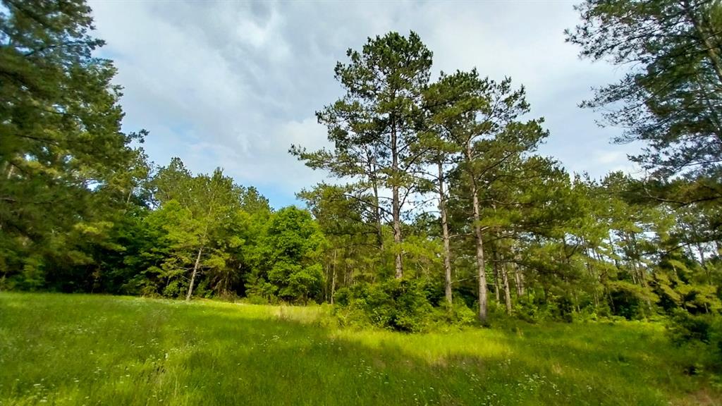 1 Nursery Road, Livingston, Texas image 4