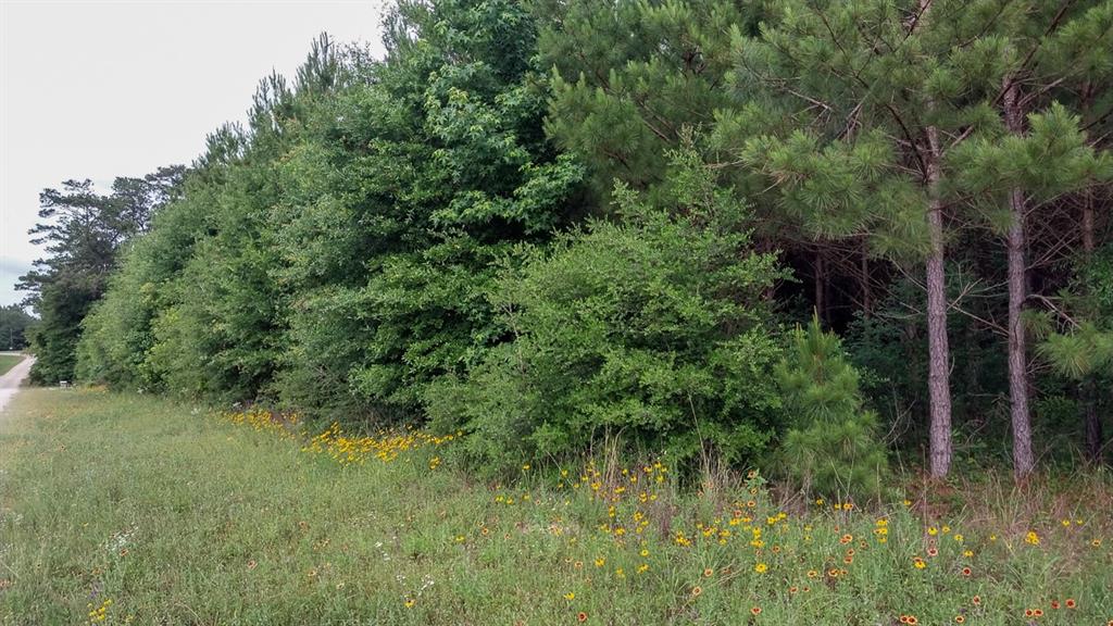 1 Nursery Road, Livingston, Texas image 17