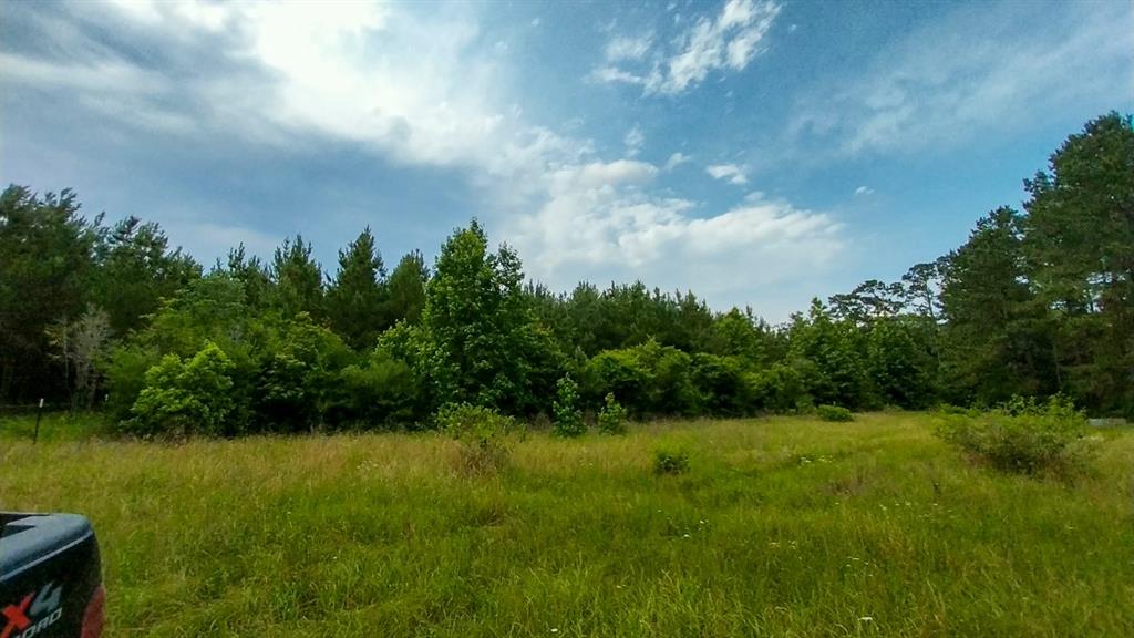 1 Nursery Road, Livingston, Texas image 3