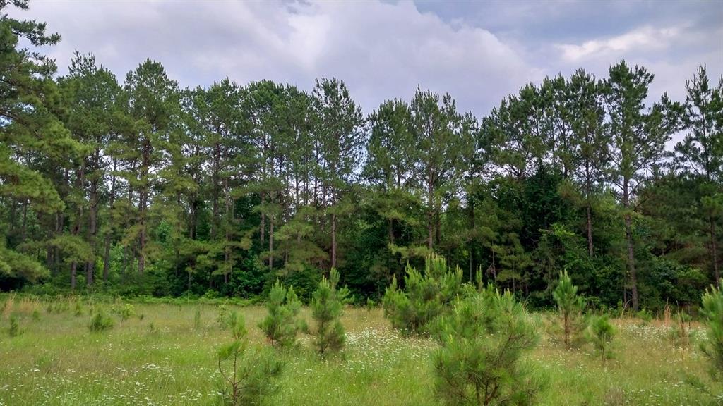 1 Nursery Road, Livingston, Texas image 8
