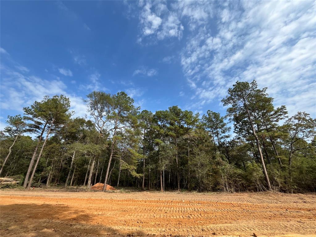 11333 Annie Creek Drive Dr, Willis, Texas image 3