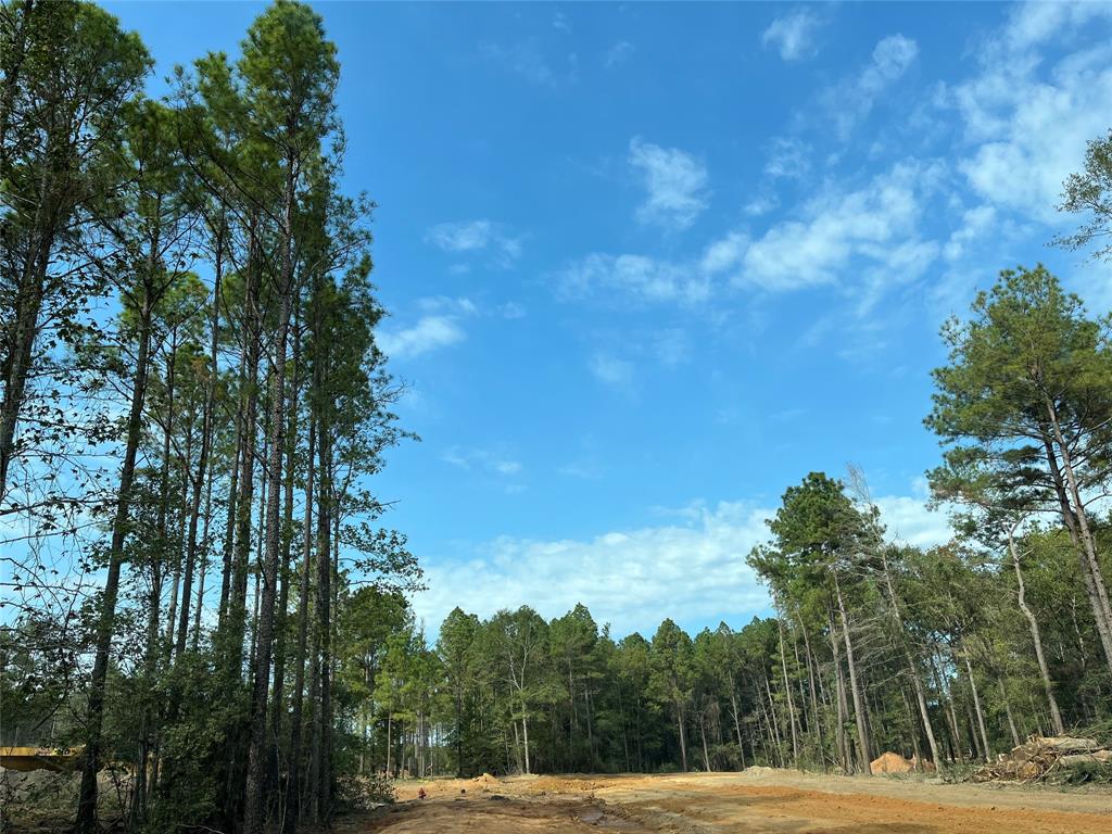 11333 Annie Creek Drive Dr, Willis, Texas image 5