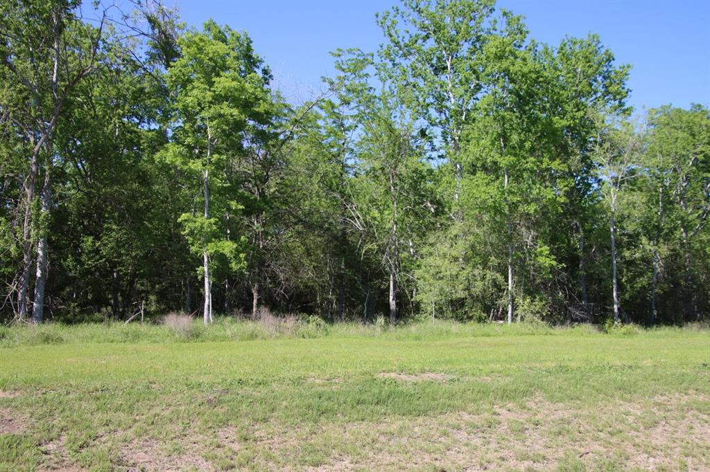 00 Wooded Reserve Court, Washington, Texas image 6