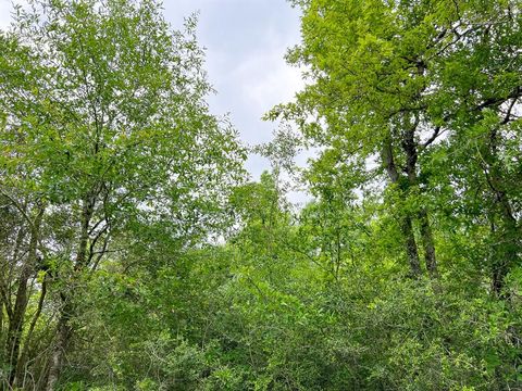 Vacant Land For Sale - 00 Cravens Camp Road Dr<br/> Silsbee, TX 77656