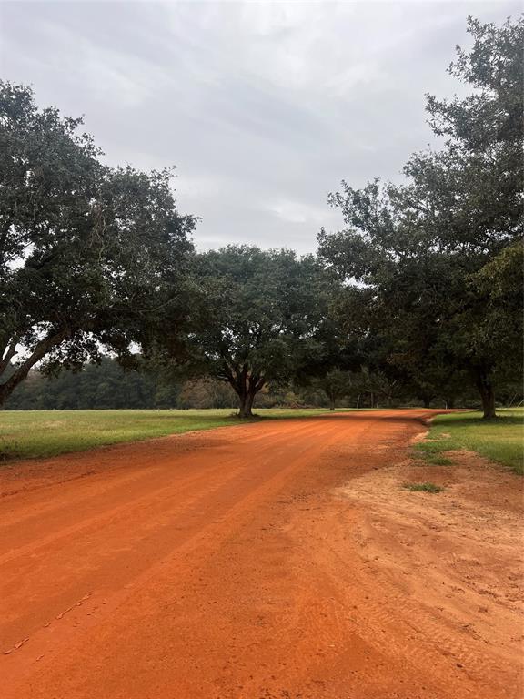 Lot 136 Royal Oak Drive, Hillister, Texas image 5