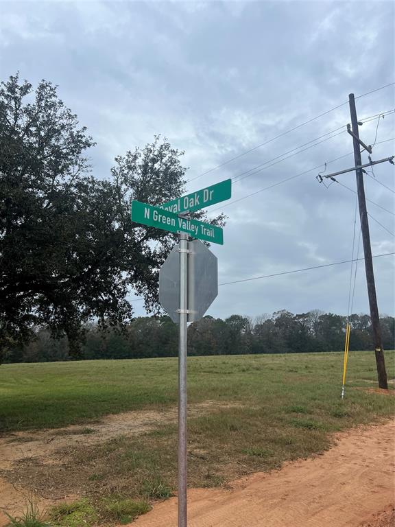 Lot 136 Royal Oak Drive, Hillister, Texas image 4