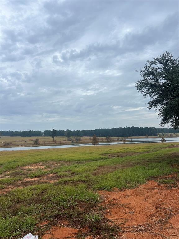 Lot 136 Royal Oak Drive, Hillister, Texas image 7