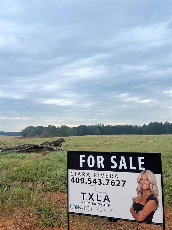 Lot 136 Royal Oak Drive, Hillister, Texas image 3