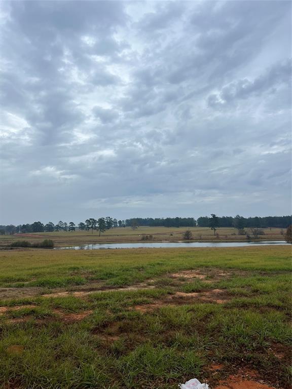Lot 136 Royal Oak Drive, Hillister, Texas image 8