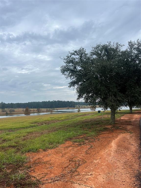 Lot 136 Royal Oak Drive, Hillister, Texas image 6