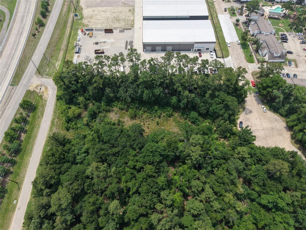Inverness Forest Boulevard, Houston, Texas image 12