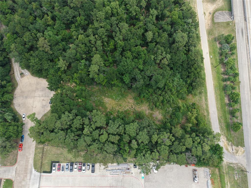 Inverness Forest Boulevard, Houston, Texas image 14