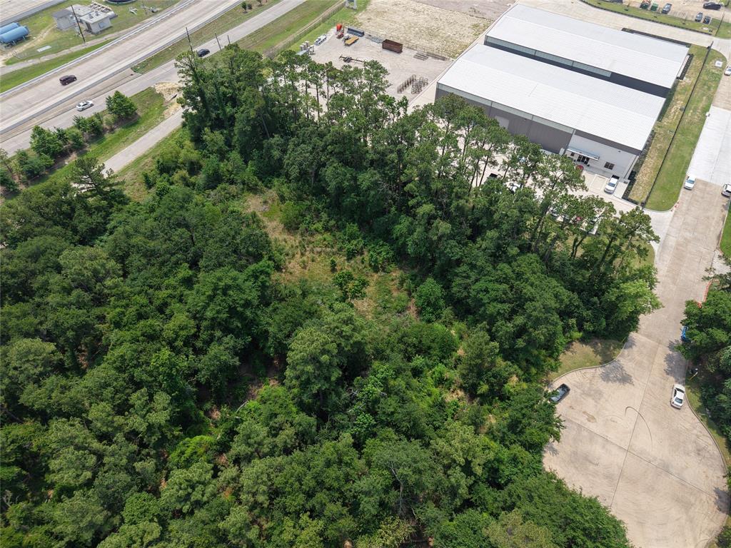Inverness Forest Boulevard, Houston, Texas image 11
