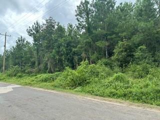 Tract 15 Duff Road, Livingston, Texas image 9