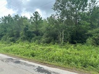 Tract 15 Duff Road, Livingston, Texas image 5