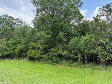 0 Lake Wood Drive Marquez TX 77865