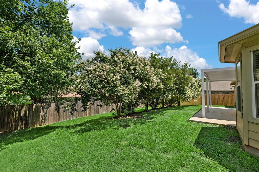 13228 Miller Lane, Willis, Texas image 31