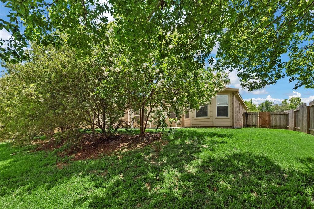 13228 Miller Lane, Willis, Texas image 32