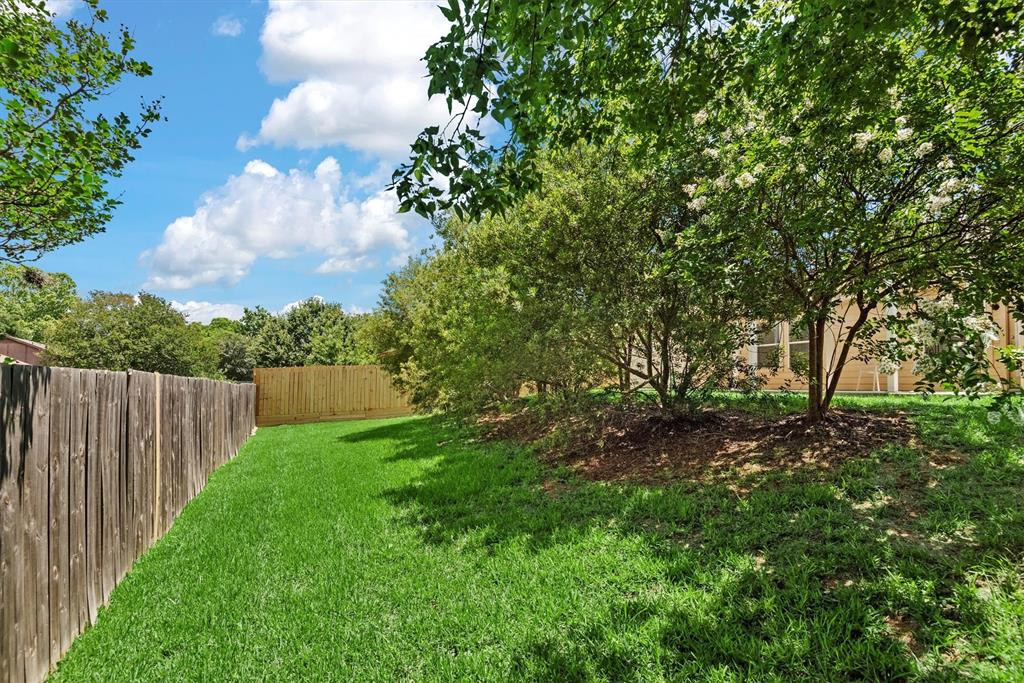 13228 Miller Lane, Willis, Texas image 33