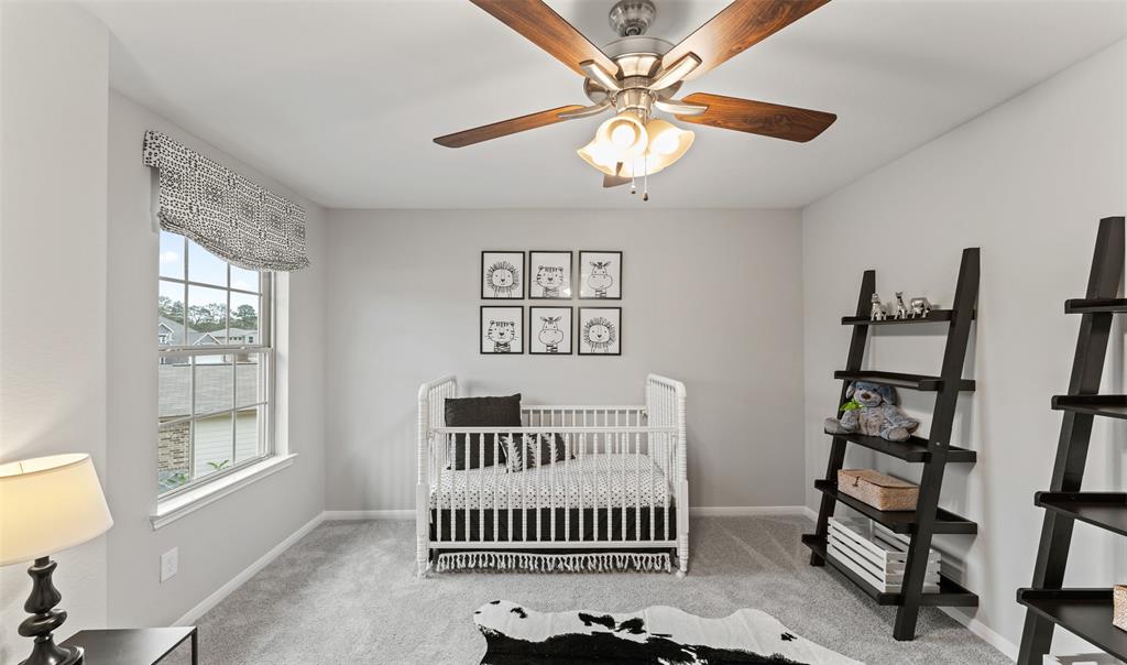 18745 Lucas Michael Way, New Caney, Texas image 16