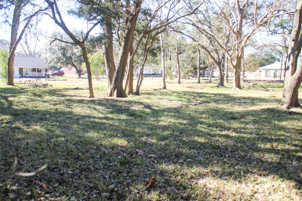 208 N Ormsby Street, Alvin, Texas image 8