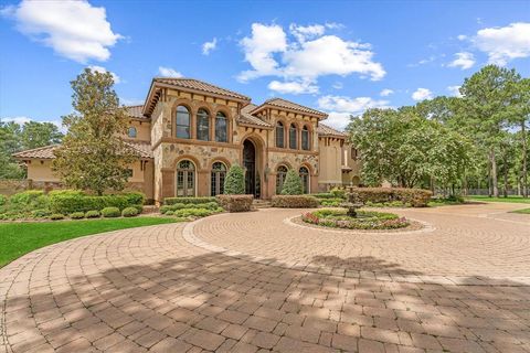 28322 Meadow Forest Magnolia TX 77355