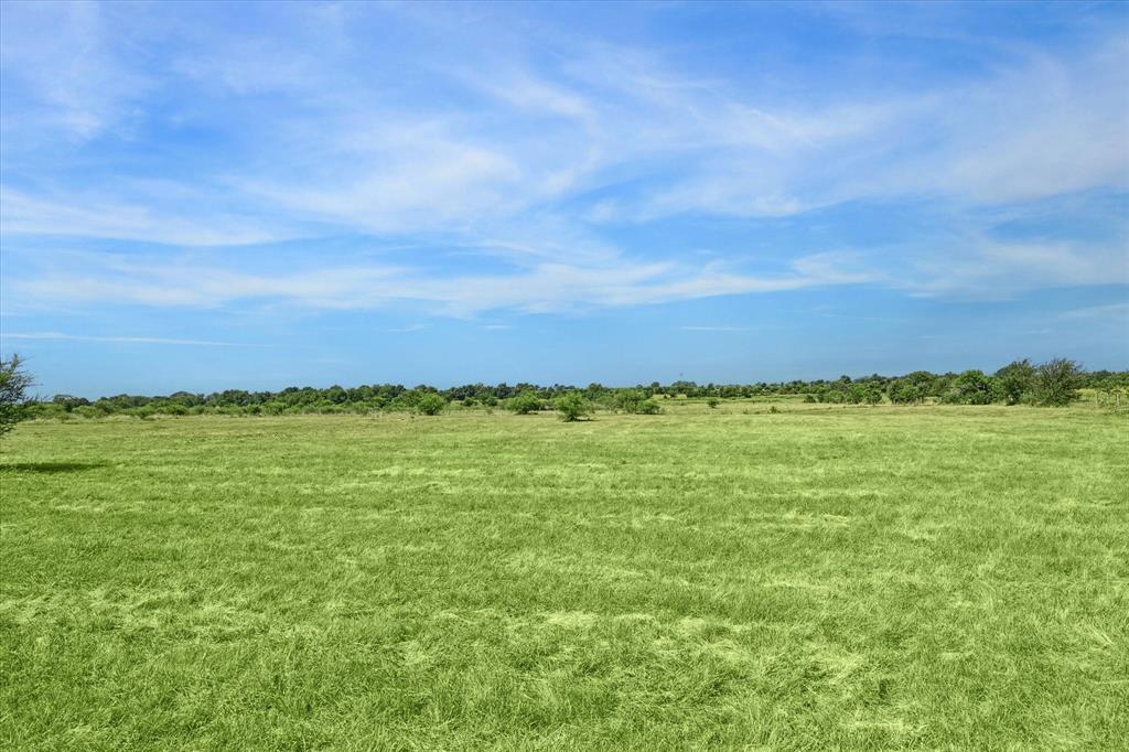 31 Gerland Wagner - Tract B Road, Burton, Texas image 4