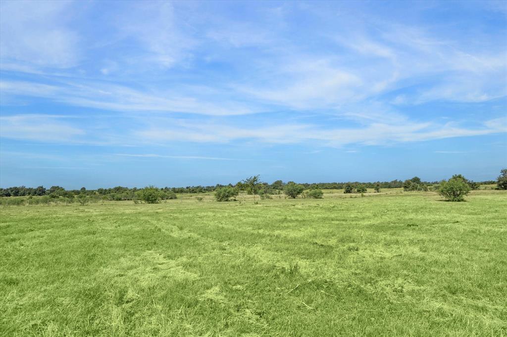 31 Gerland Wagner - Tract B Road, Burton, Texas image 6