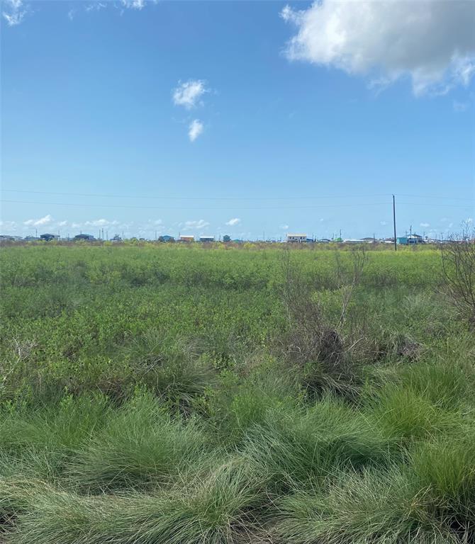 00 10 Ac Off Of Fm 1309, Lovelady, Texas image 1