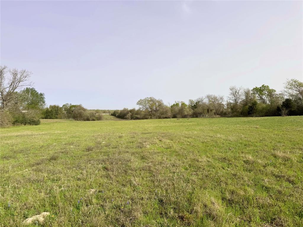 10067 Mt Falls School Road, Washington, Texas image 5