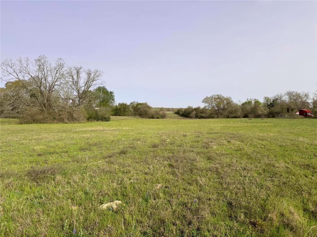 10067 Mt Falls School Road, Washington, Texas image 4