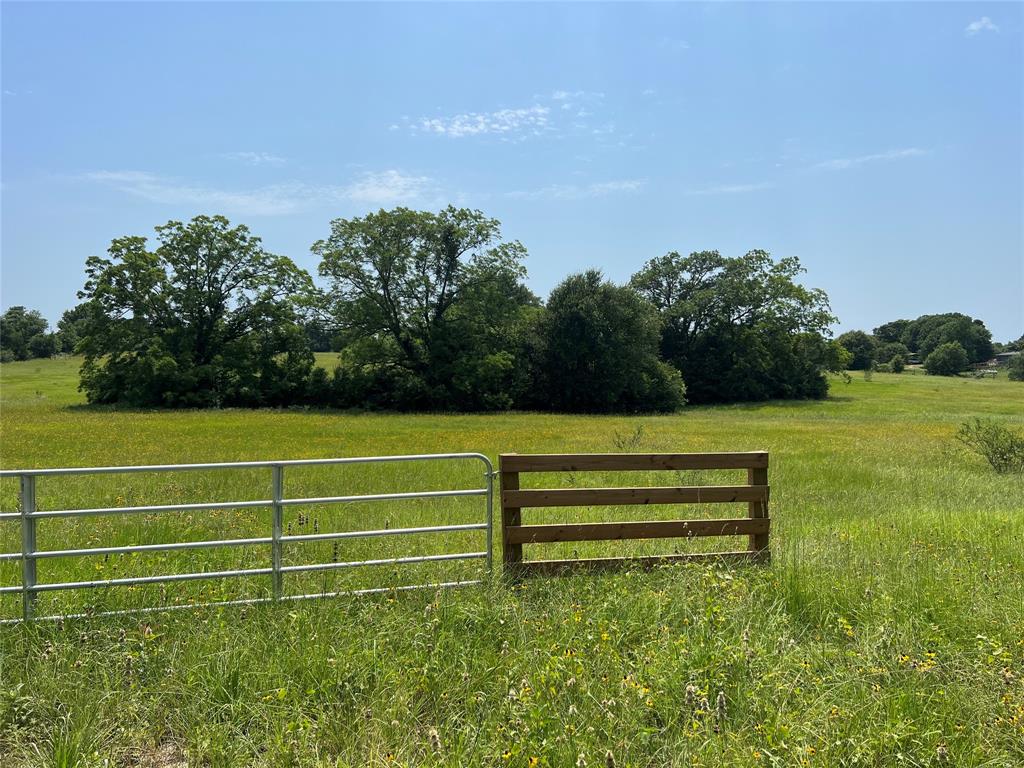 10067 Mt Falls School Road, Washington, Texas image 1