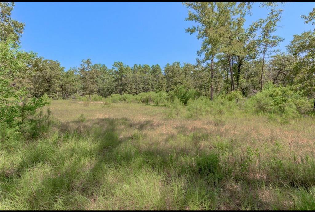 259 E Forest Oaks Drive, Trinity, Texas image 7