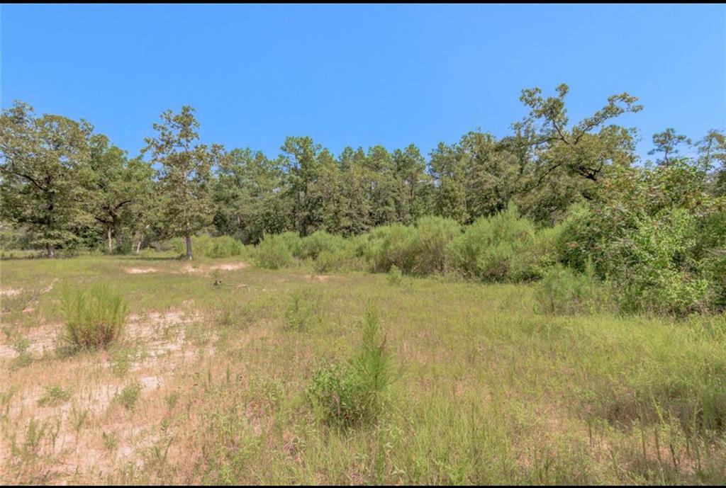 259 E Forest Oaks Drive, Trinity, Texas image 8