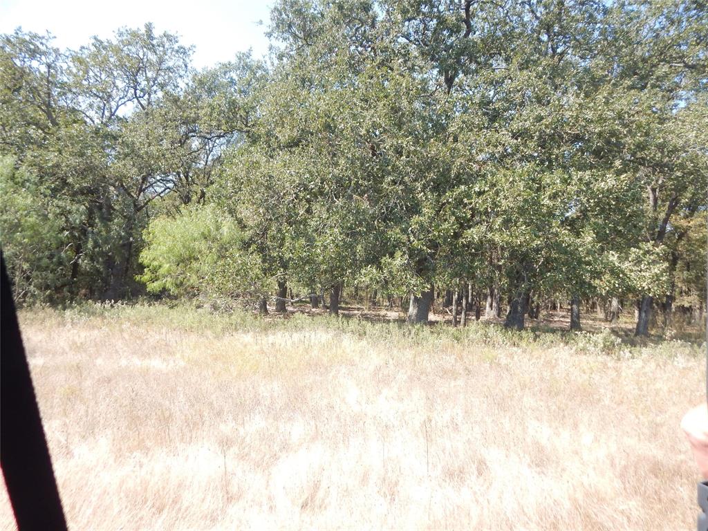 County Rd 246, Kosse, Texas image 11