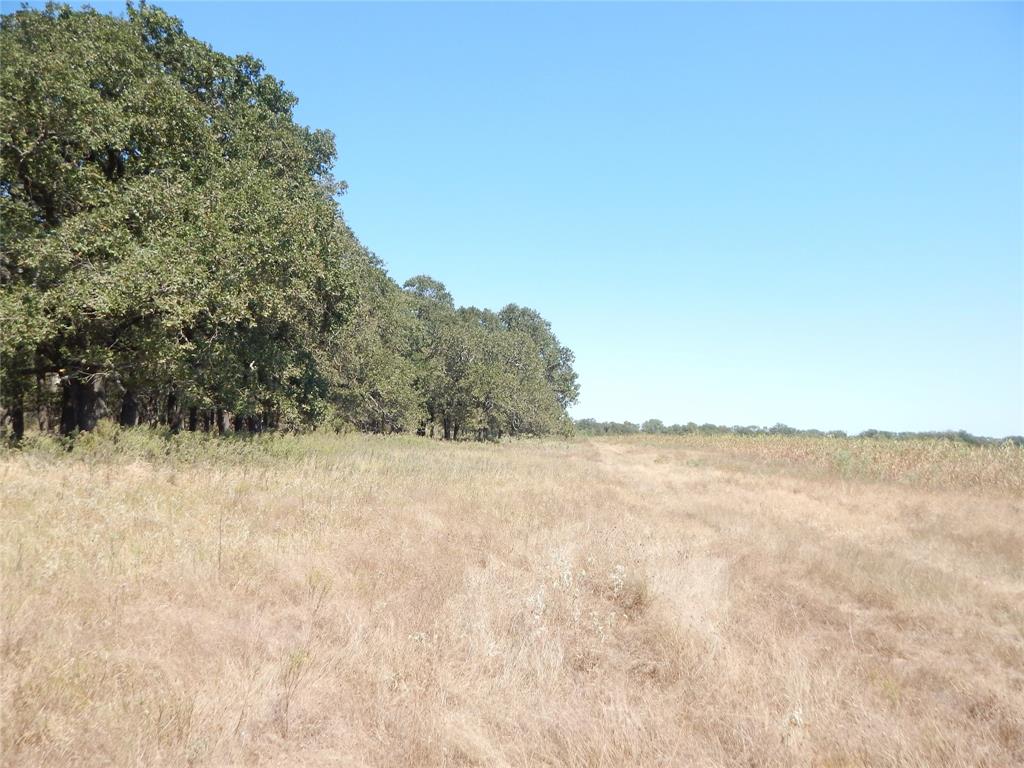 County Rd 246, Kosse, Texas image 6