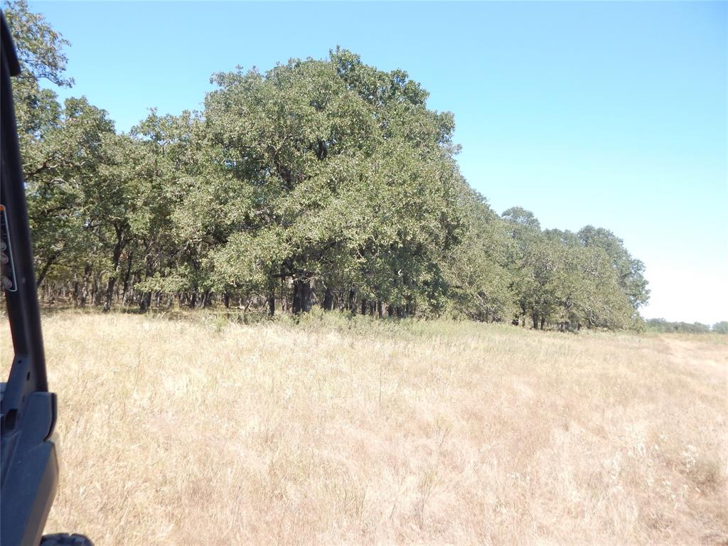 County Rd 246, Kosse, Texas image 2