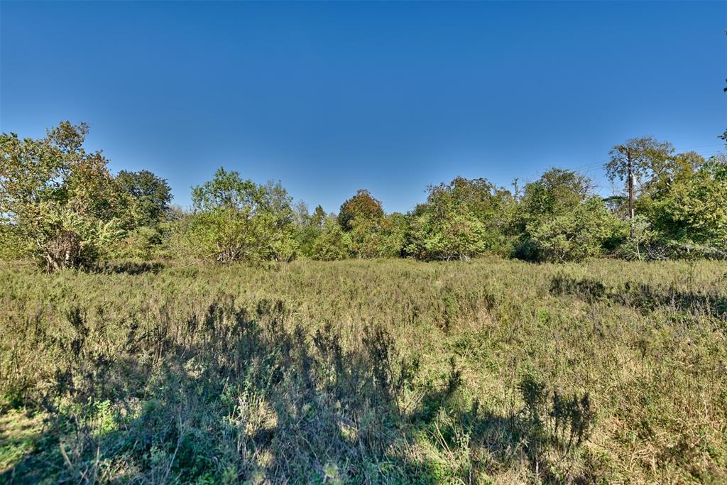 31742 Waller Tomball Road, Waller, Texas image 8