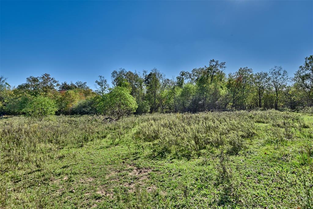 31742 Waller Tomball Road, Waller, Texas image 9