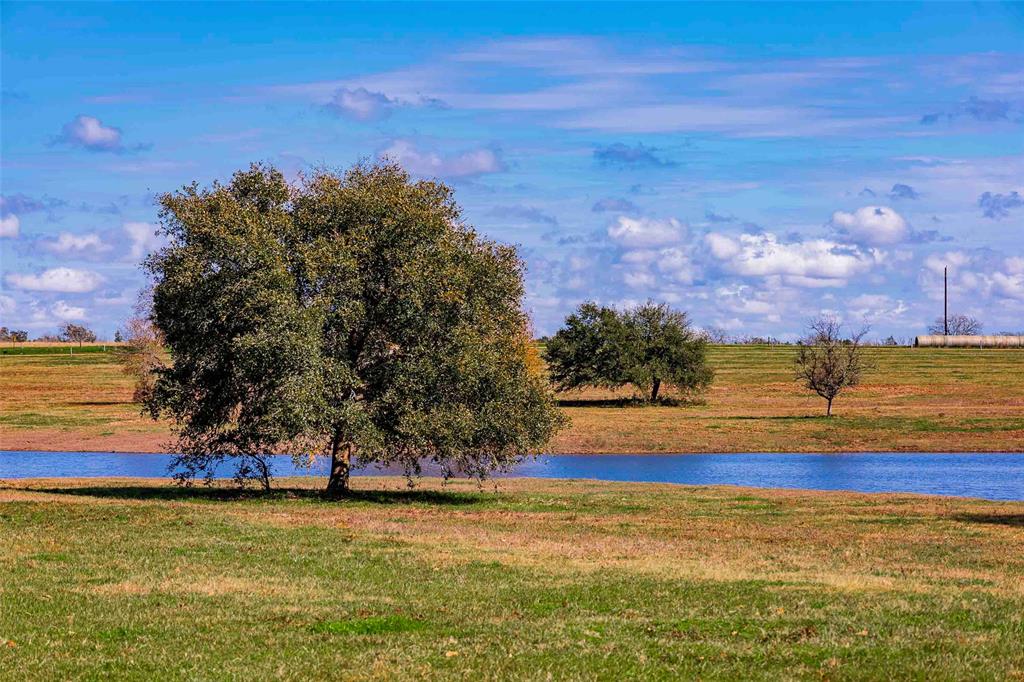 Tract 7 Nassau, Round Top, Texas image 9