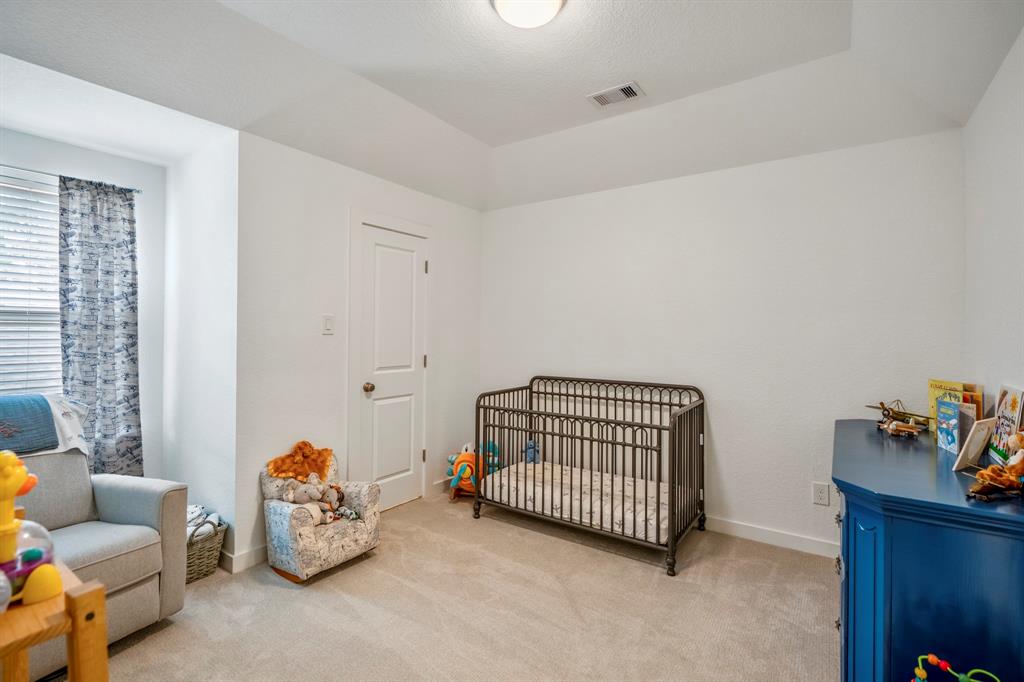 414 Soapberry Tree Court, Willis, Texas image 33